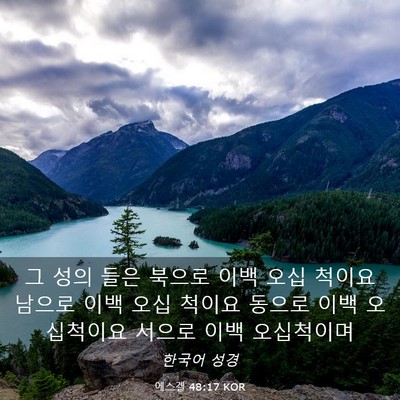 Picture 03 - 에스겔 48:17 KOR - 그 성의 들은 북으로 이백 오십 - Bible Verse Picture