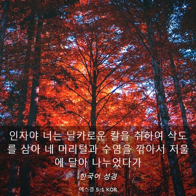 Picture 03 - 에스겔 5:1 KOR - 인자야 너는 날카로운 칼을 취하여 - Bible Verse Picture
