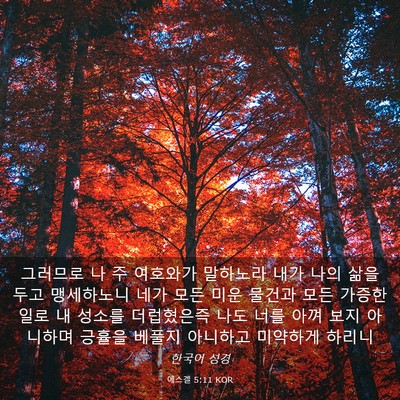 Picture 03 - 에스겔 5:11 KOR - 그러므로 나 주 여호와가 말하노라 - Bible Verse Picture