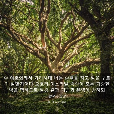 Picture 03 - 에스겔 6:11 KOR - 주 여호와께서 가라사대 너는 손뼉을 - Bible Verse Picture