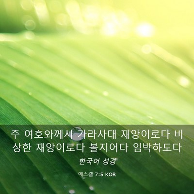 Picture 03 - 에스겔 7:5 KOR - 주 여호와께서 가라사대 재앙이로다 - Bible Verse Picture