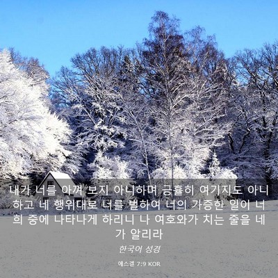 Picture 03 - 에스겔 7:9 KOR - 내가 너를 아껴 보지 아니하며 - Bible Verse Picture
