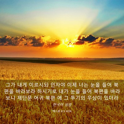 Picture 03 - 에스겔 8:5 KOR - 그가 내게 이르시되 인자야 이제 - Bible Verse Picture