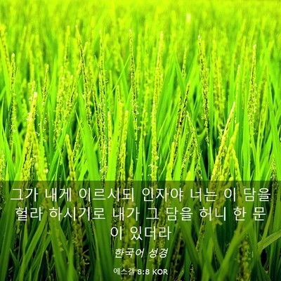 Picture 03 - 에스겔 8:8 KOR - 그가 내게 이르시되 인자야 너는 이 - Bible Verse Picture