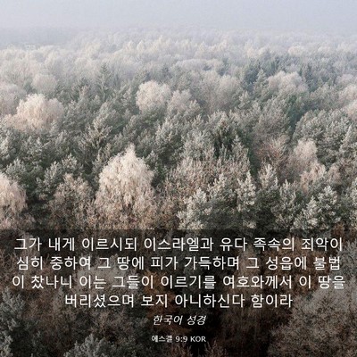 Picture 03 - 에스겔 9:9 KOR - 그가 내게 이르시되 이스라엘과 유다 - Bible Verse Picture