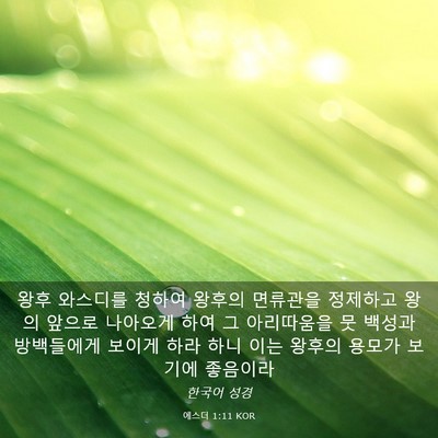 Picture 03 - 에스더 1:11 KOR - 왕후 와스디를 청하여 왕후의 - Bible Verse Picture