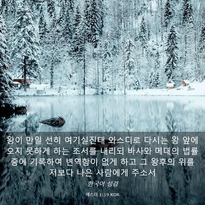Picture 03 - 에스더 1:19 KOR - 왕이 만일 선히 여기실진대 와스디로 - Bible Verse Picture