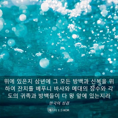 Picture 03 - 에스더 1:3 KOR - 위에 있은지 삼년에 그 모든 방백과 - Bible Verse Picture