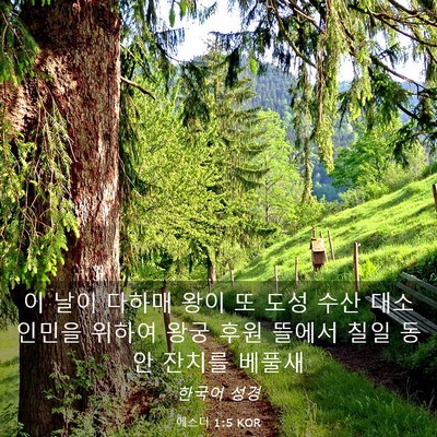 Picture 03 - 에스더 1:5 KOR - 이 날이 다하매 왕이 또 도성 수산 - Bible Verse Picture