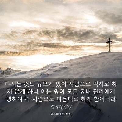 Picture 03 - 에스더 1:8 KOR - 마시는 것도 규모가 있어 사람으로 - Bible Verse Picture