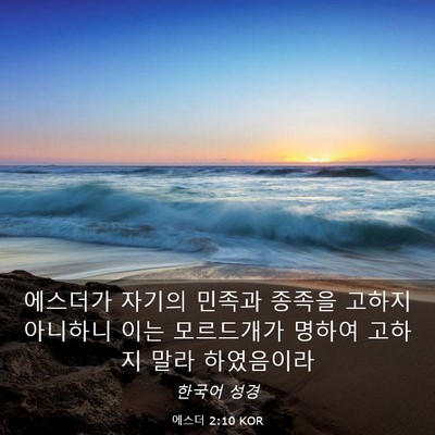 Picture 03 - 에스더 2:10 KOR - 에스더가 자기의 민족과 종족을 - Bible Verse Picture