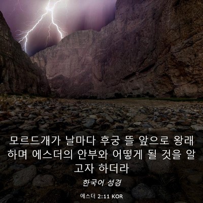 Picture 03 - 에스더 2:11 KOR - 모르드개가 날마다 후궁 뜰 앞으로 - Bible Verse Picture