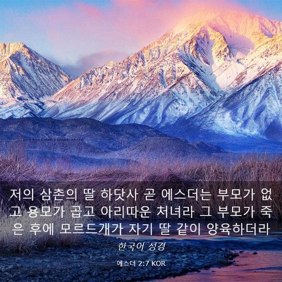Picture 03 - 에스더 2:7 KOR - 저의 삼촌의 딸 하닷사 곧 에스더는 - Bible Verse Picture