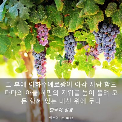 Picture 03 - 에스더 3:1 KOR - 그 후에 아하수에로왕이 아각 사람 - Bible Verse Picture