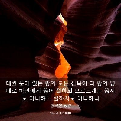 Picture 03 - 에스더 3:2 KOR - 대궐 문에 있는 왕의 모든 신복이 다 - Bible Verse Picture