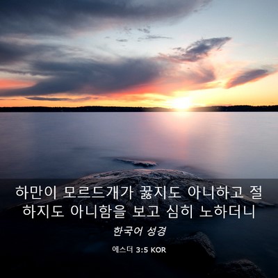 Picture 03 - 에스더 3:5 KOR - 하만이 모르드개가 꿇지도 아니하고 - Bible Verse Picture