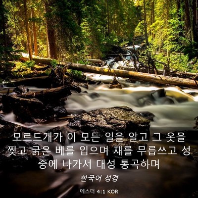 Picture 03 - 에스더 4:1 KOR - 모르드개가 이 모든 일을 알고 그 - Bible Verse Picture