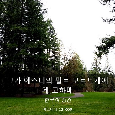 Picture 03 - 에스더 4:12 KOR - 그가 에스더의 말로 모르드개에게 - Bible Verse Picture