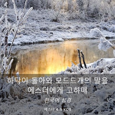 Picture 03 - 에스더 4:9 KOR - 하닥이 돌아와 모드드개의 말을 - Bible Verse Picture