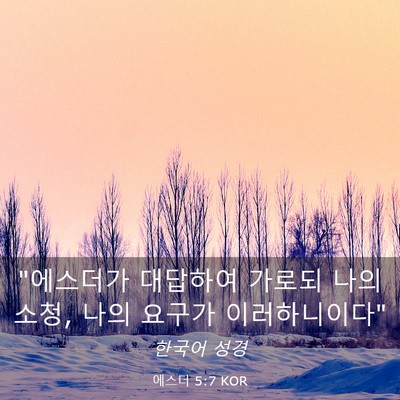 Picture 03 - 에스더 5:7 KOR - 