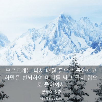 Picture 03 - 에스더 6:12 KOR - 모르드개는 다시 대궐 문으로 - Bible Verse Picture