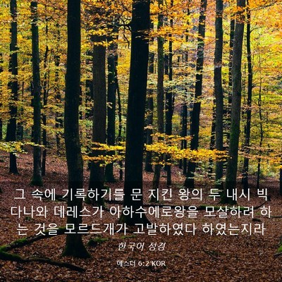 Picture 03 - 에스더 6:2 KOR - 그 속에 기록하기를 문 지킨 왕의 두 - Bible Verse Picture