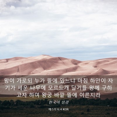 Picture 03 - 에스더 6:4 KOR - 왕이 가로되 누가 뜰에 있느냐 마침 - Bible Verse Picture