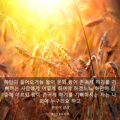 Picture 03 - 에스더 6:6 KOR - 하만이 들어오거늘 왕이 묻되 왕이 - Bible Verse Picture