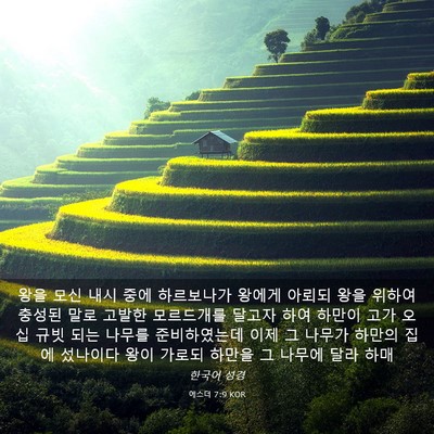 Picture 03 - 에스더 7:9 KOR - 왕을 모신 내시 중에 하르보나가 - Bible Verse Picture