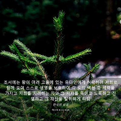 Picture 03 - 에스더 8:11 KOR - 조서에는 왕이 여러 고을에 있는 - Bible Verse Picture
