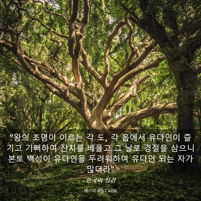 Picture 03 - 에스더 8:17 KOR - 