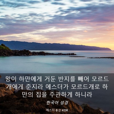 Picture 03 - 에스더 8:2 KOR - 왕이 하만에게 거둔 반지를 빼어 - Bible Verse Picture