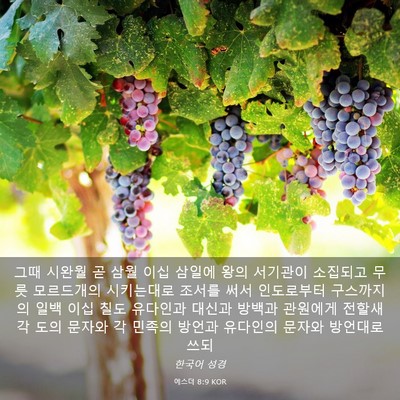 Picture 03 - 에스더 8:9 KOR - 그때 시완월 곧 삼월 이십 삼일에 - Bible Verse Picture