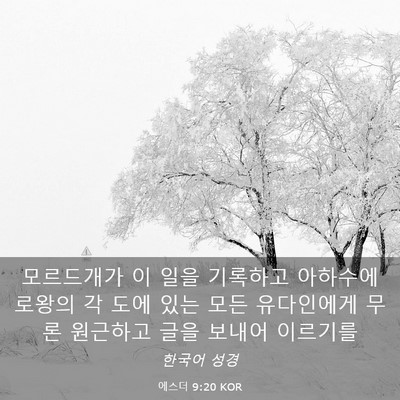 Picture 03 - 에스더 9:20 KOR - 모르드개가 이 일을 기록하고 - Bible Verse Picture