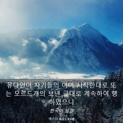 Picture 03 - 에스더 9:23 KOR - 유다인이 자기들의 이미 시작한대로 - Bible Verse Picture