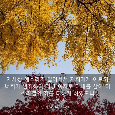 Picture 03 - 에스라 10:10 KOR - 제사장 에스라가 일어서서 저희에게 - Bible Verse Picture