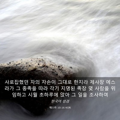 Picture 03 - 에스라 10:16 KOR - 사로잡혔던 자의 자손이 그대로 - Bible Verse Picture