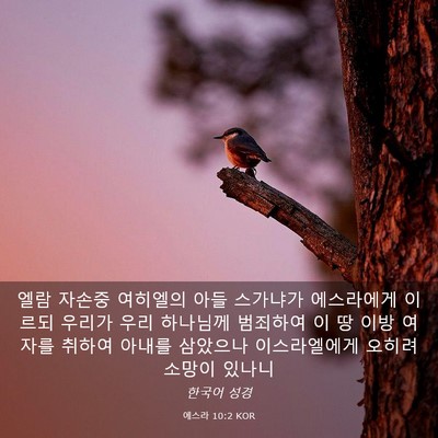 Picture 03 - 에스라 10:2 KOR - 엘람 자손중 여히엘의 아들 스가냐가 - Bible Verse Picture