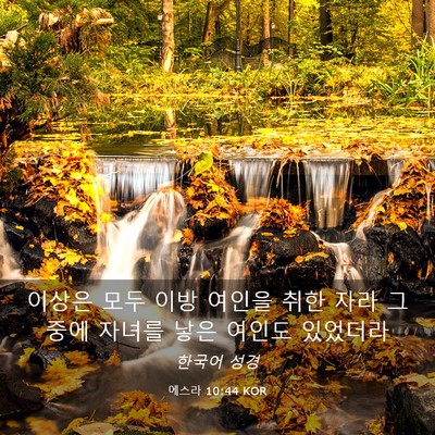 Picture 03 - 에스라 10:44 KOR - 이상은 모두 이방 여인을 취한 자라 - Bible Verse Picture