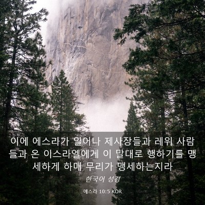 Picture 03 - 에스라 10:5 KOR - 이에 에스라가 일어나 제사장들과 - Bible Verse Picture