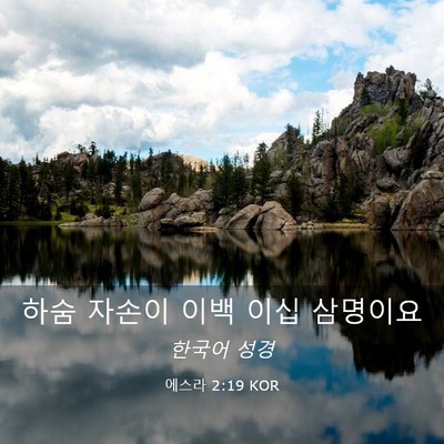 Picture 03 - 에스라 2:19 KOR - 하숨 자손이 이백 이십 - Bible Verse Picture
