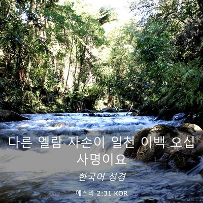 Picture 03 - 에스라 2:31 KOR - 다른 엘람 자손이 일천 이백 오십 - Bible Verse Picture