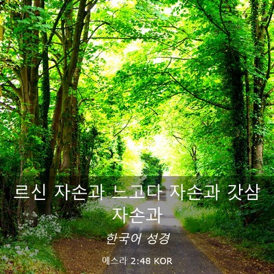 Picture 03 - 에스라 2:48 KOR - 르신 자손과 느고다 자손과 갓삼 - Bible Verse Picture