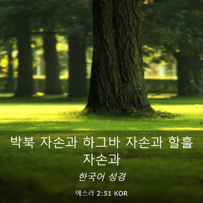 Picture 03 - 에스라 2:51 KOR - 박북 자손과 하그바 자손과 할훌 - Bible Verse Picture