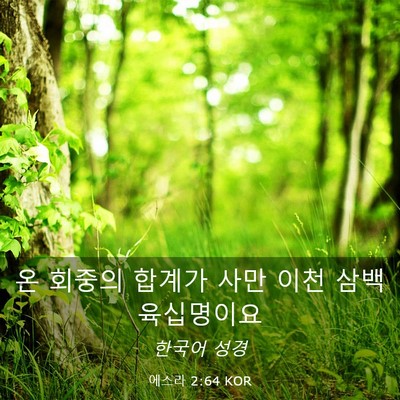 Picture 03 - 에스라 2:64 KOR - 온 회중의 합계가 사만 이천 삼백 - Bible Verse Picture