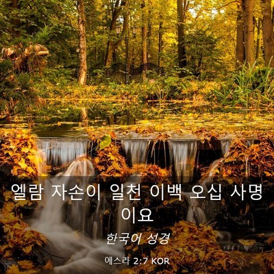 Picture 03 - 에스라 2:7 KOR - 엘람 자손이 일천 이백 오십 - Bible Verse Picture