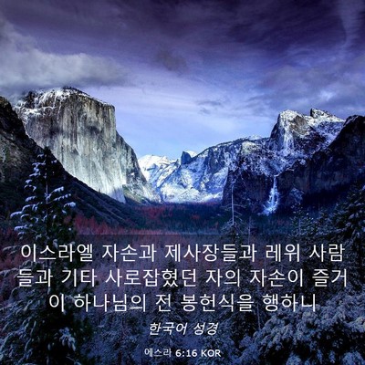 Picture 03 - 에스라 6:16 KOR - 이스라엘 자손과 제사장들과 레위 - Bible Verse Picture
