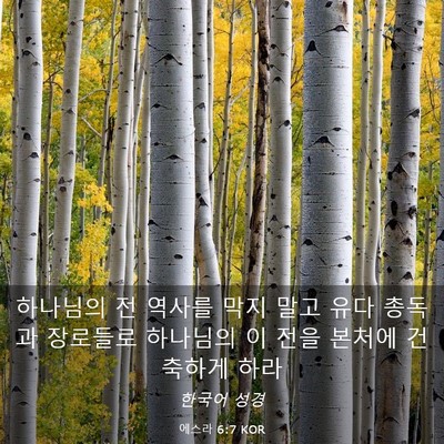 Picture 03 - 에스라 6:7 KOR - 하나님의 전 역사를 막지 말고 유다 - Bible Verse Picture