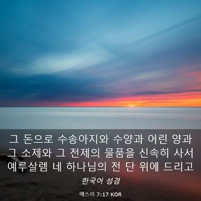 Picture 03 - 에스라 7:17 KOR - 그 돈으로 수송아지와 수양과 어린 - Bible Verse Picture