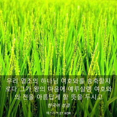 Picture 03 - 에스라 7:27 KOR - 우리 열조의 하나님 여호와를 - Bible Verse Picture